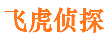 东明侦探公司